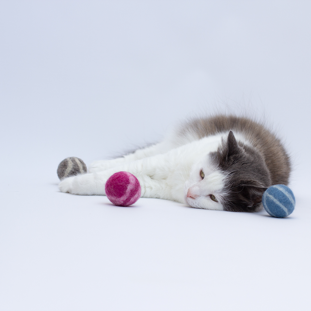 miniature Jouet pour chats 3 balles feutrées en laine Profeline avec chat qui joue